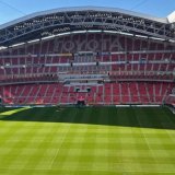 寒いときに最適の肌着｜メリノウールの力で冬のスポーツ観戦も快適に