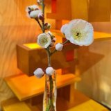 想いのバトン｜受け継いだカウンターと小さなピアノ