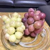 2連休の過ごし方