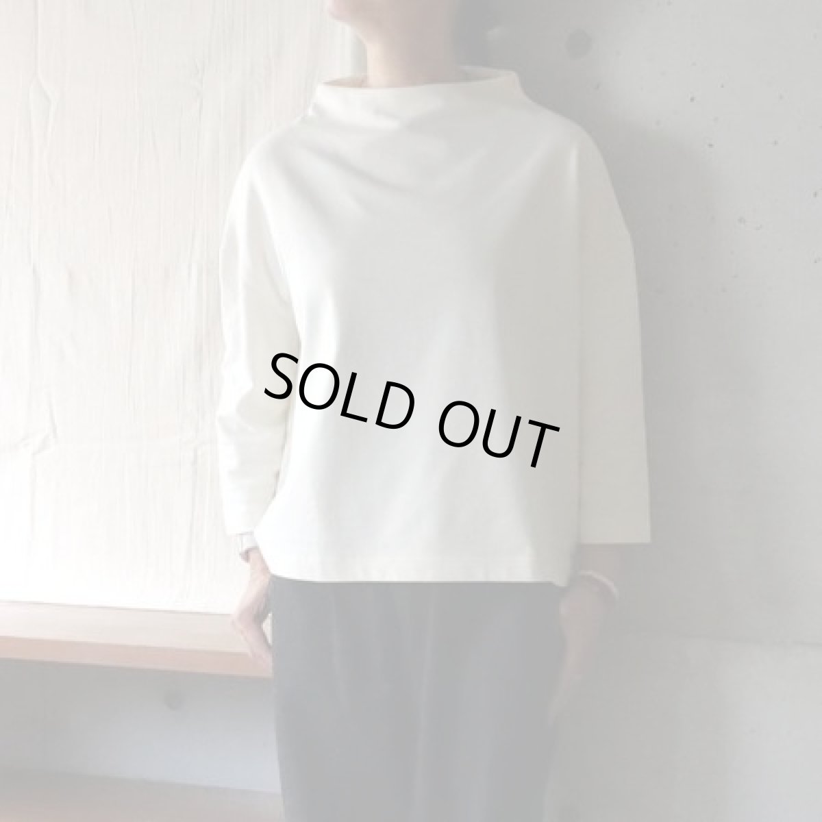 画像1: 20％OFF SALE【NARU FACTORY】デラヴェジャージー ポーセリンシャツ (1)