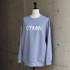 画像10: 【ista-ire】裏毛　ロゴスウェット (10)