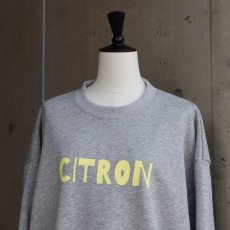 画像8: 【ista-ire】裏毛　ロゴスウェット (8)