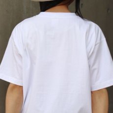 画像20: 【ista-ire】コットンジャージー　フォトTEE (20)