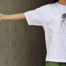 画像18: 【ista-ire】コットンジャージー　フォトTEE (18)