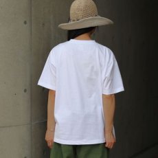 画像16: 【ista-ire】コットンジャージー　フォトTEE (16)