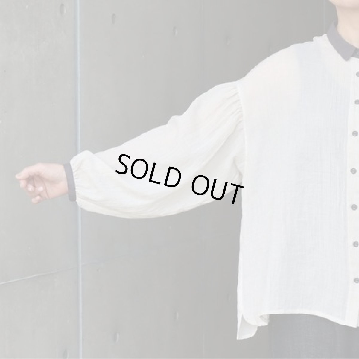 画像5: 20%OFF SALE【ista-ire】テトロンコットンガーゼちび衿ブラウス (5)