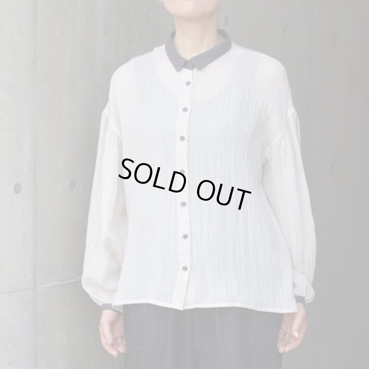画像1: 20%OFF SALE【ista-ire】テトロンコットンガーゼちび衿ブラウス (1)