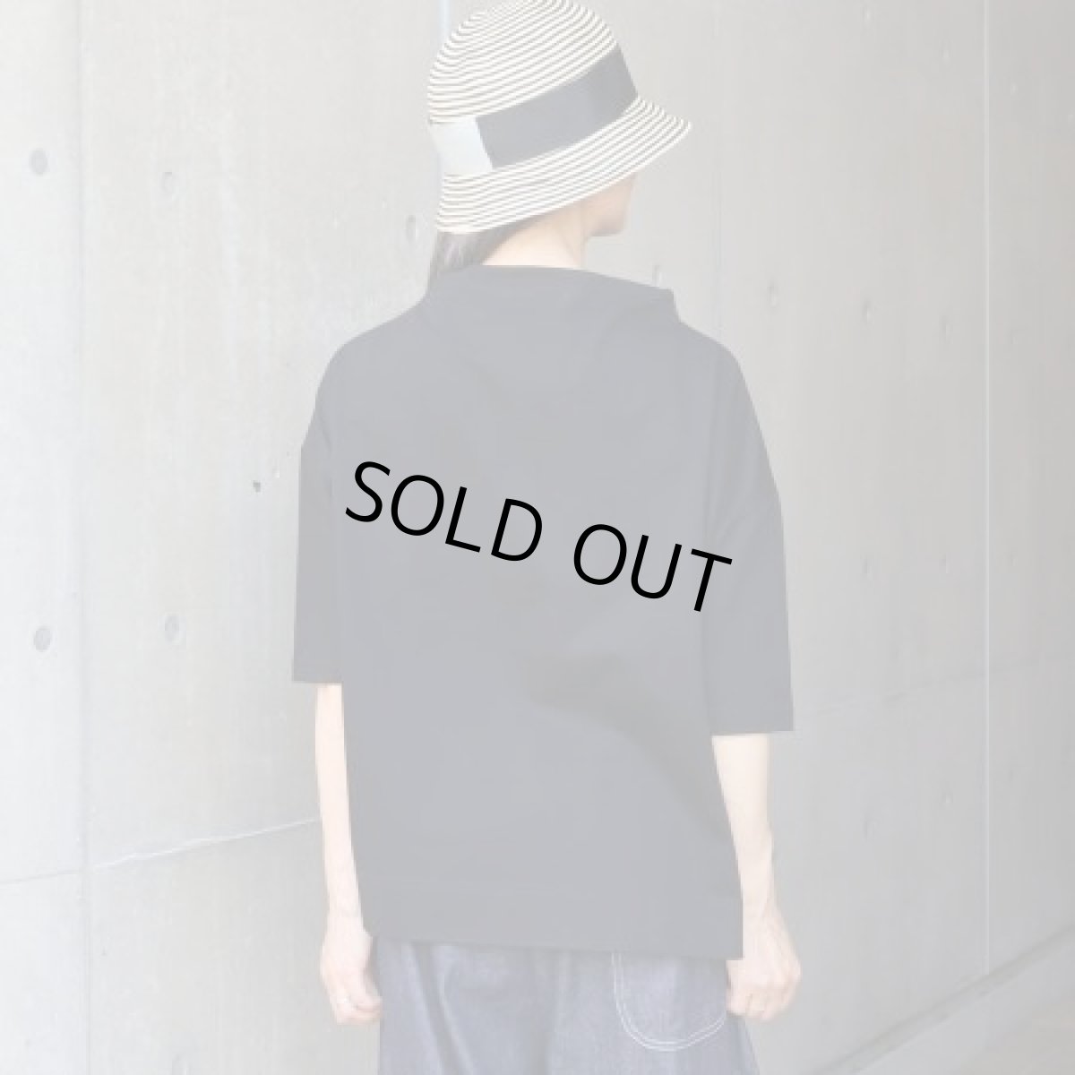 画像14: NARU FACTORY デラヴェプレミアム ポーセリン5分袖Tシャツ (14)