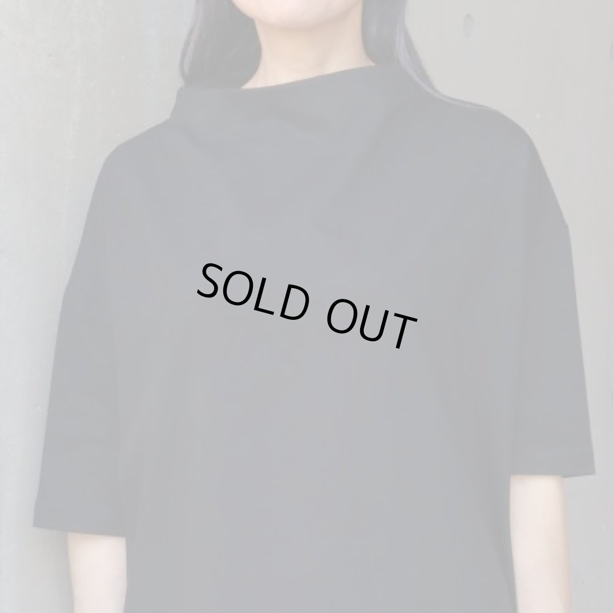 画像17: NARU FACTORY デラヴェプレミアム ポーセリン5分袖Tシャツ (17)