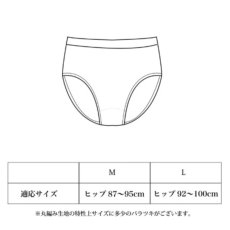 画像4: lesbutte 肌側シルクのショーツ (4)