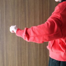 画像8: ista-ire 甘撚りパイル裏毛切替スウェット (8)