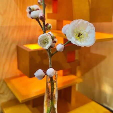 想いのバトン｜受け継いだカウンターと小さなピアノ