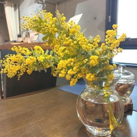 春コーデに映えるイエロー｜CITRONスウェットとレモンカラーの服～今日はちょっと「レモンな気分」🍋～